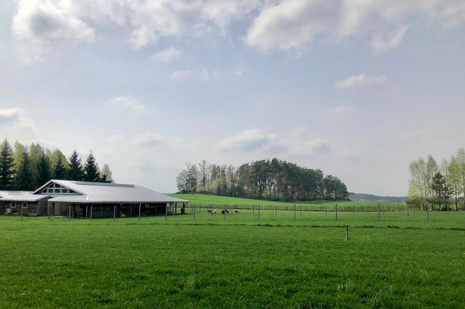Alpakarium, Hodowla Alpak & Pensjonat Stara Kornica Exteriér fotografie