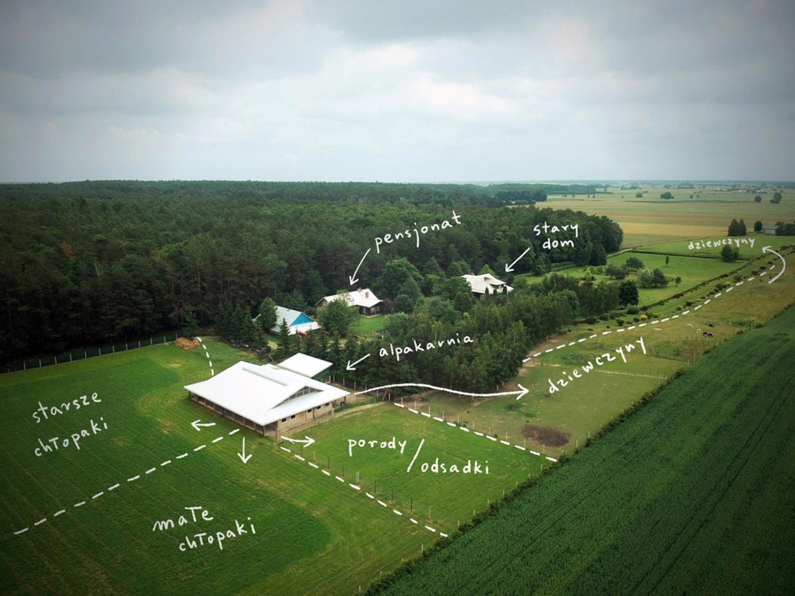 Alpakarium, Hodowla Alpak & Pensjonat Stara Kornica Exteriér fotografie